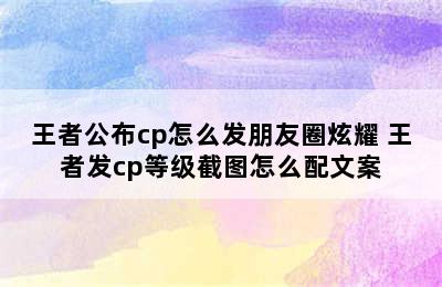 王者公布cp怎么发朋友圈炫耀 王者发cp等级截图怎么配文案